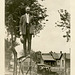 Man on a Ladder and People in a Car