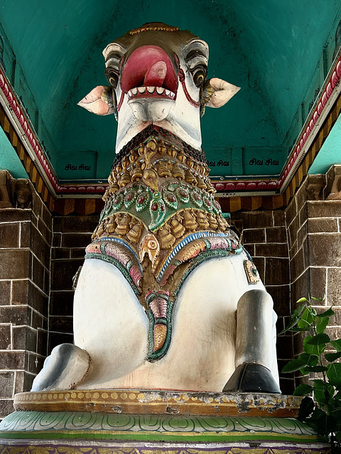 Nandi. नन्दि