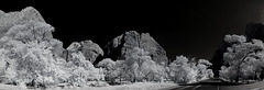 Zion