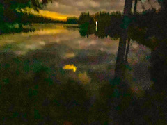Hammond Pond Pointillism Hammond Pond Pointillism
