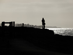 notre cap Horn en vue