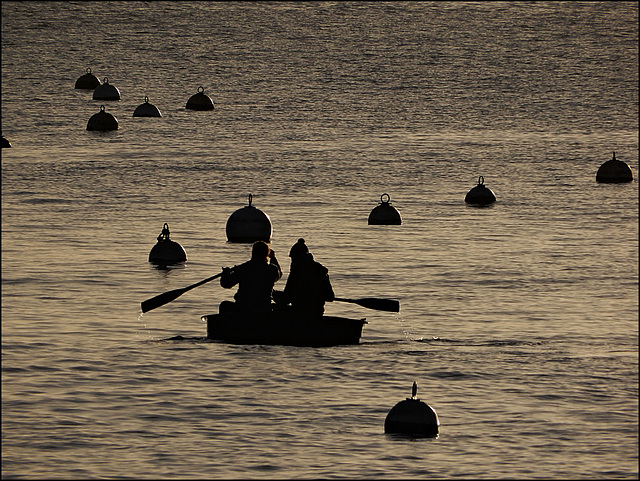 dans la fraicheur du matin
