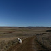 20211111 -21  Lozère (104)