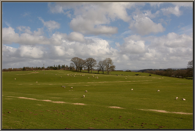 Welsh Serenity