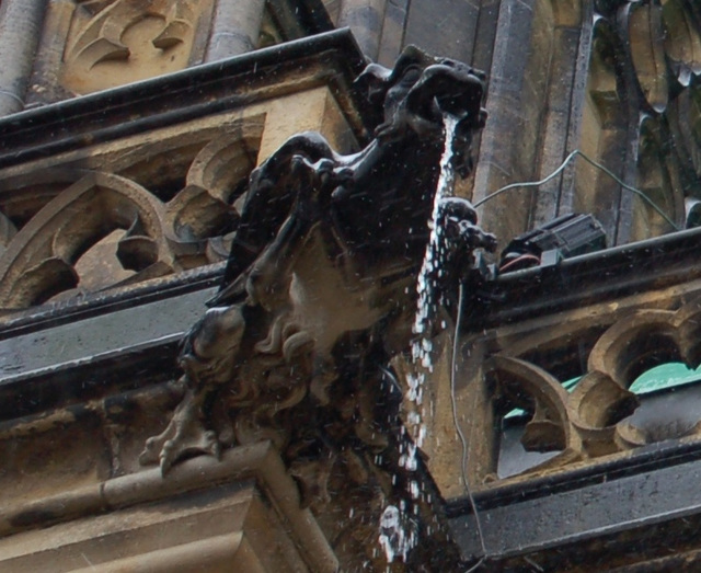 Saint Vitus Cathedral, Prague Castle on a rainy Sunday