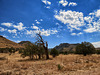 The Chiricahua Mountains