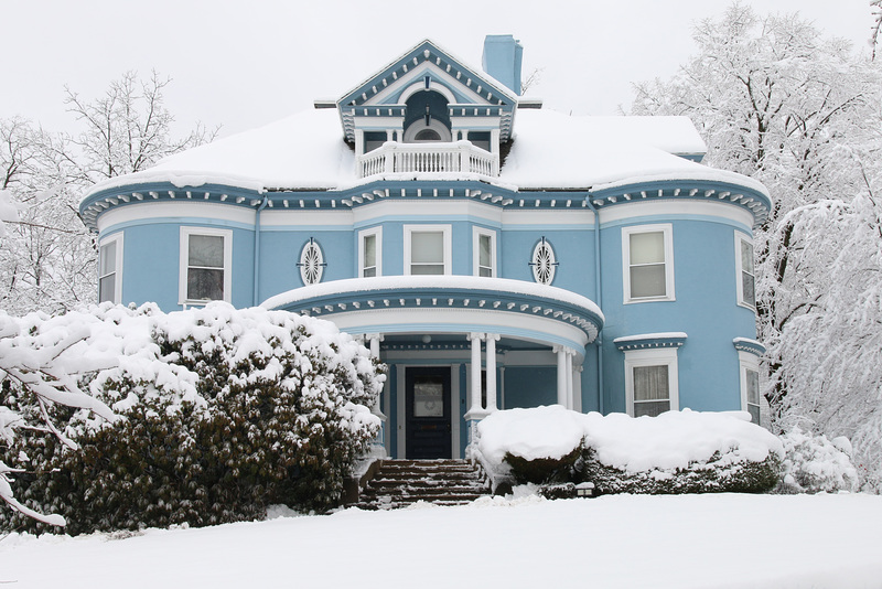 Stately in the snow