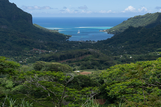 Cook's Bay from the Three Pines Point