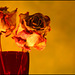 DEAD FLOWERS