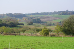 Landblick