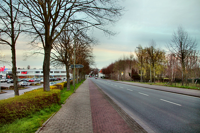 Münsterstraße (Hamm-Heessen) / 17.03.2020