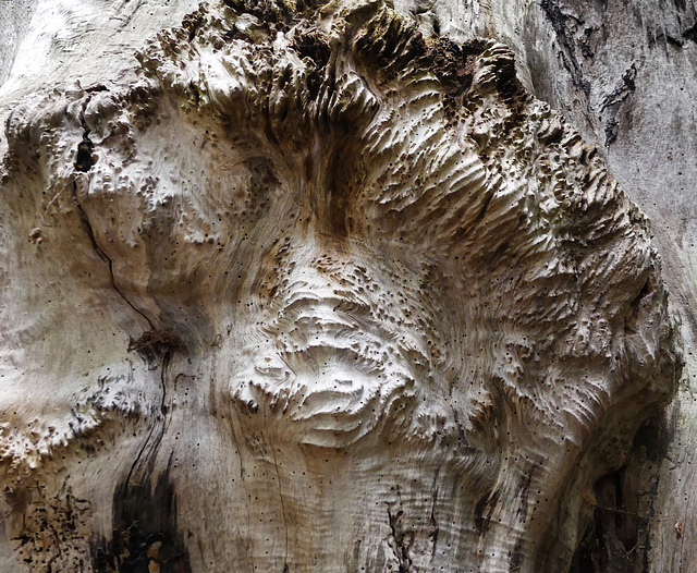 Holzkopf, wild strukturiert (2xPiP)