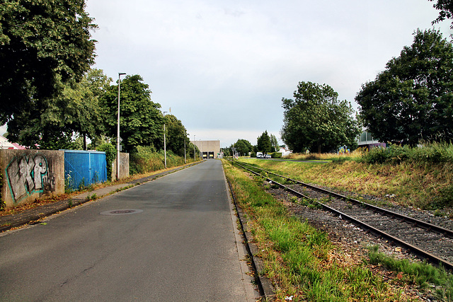 Ökonomierat-Peitzmeier-Platz (Hamm) / 6.07.2024