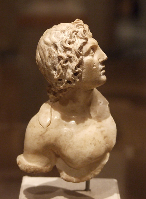 Alabaster Alexander the Great in the Brooklyn Museum, March 2010