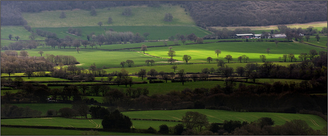 Natures spotlights.