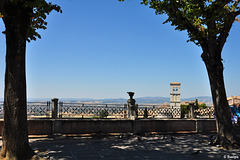 bei der Basilica di Santa Chiara  (© Buelipix)