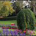 Partie centrale fleurie, avec Sopora pendula