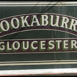 Kookaburra, Gloucester