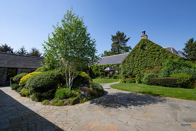 May colours in the Courtyard