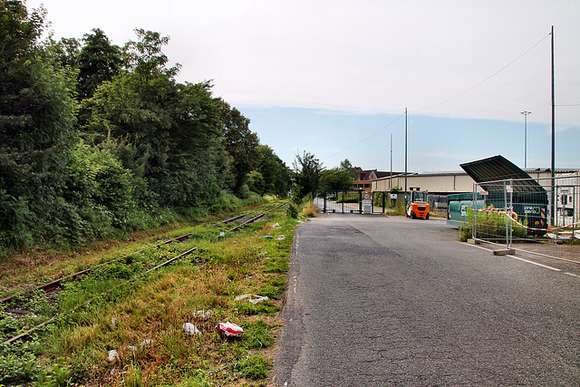 Neben dem Gleis der Bahnstrecke Hamm–Lippborg (Hamm) / 6.07.2024