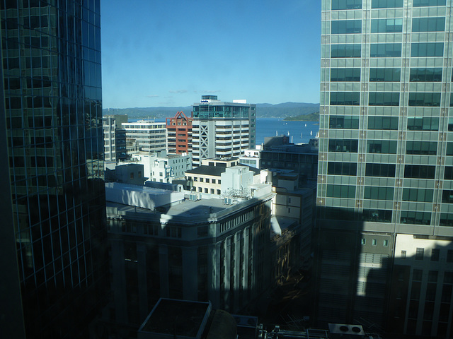 another roow with a view, this one in Wellington