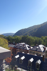 DSC09354