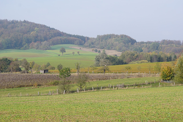 Blick zum Hainholz