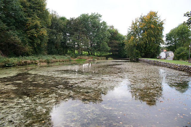 New Abbey Mill Pond