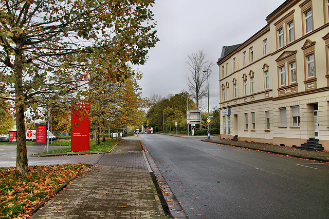 Rotthauser Straße (Gelsenkirchen-Rotthausen) / 2.11.2019