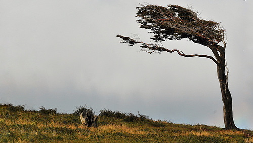 Autumn winds