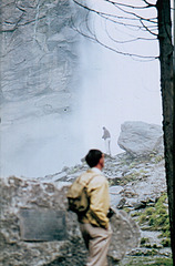 Krimmler waterfall  1967