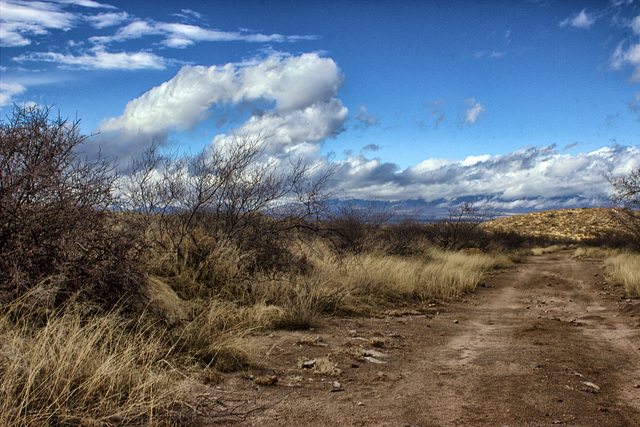 Schieffelin Monument Road