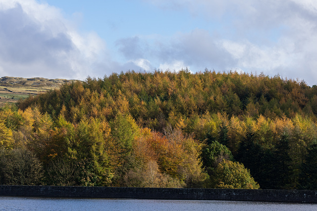 Swineshaw Reservoir