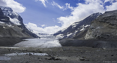 Athabasca Glacier - Columbia Icefield ... P.i.P. (© Buelipix)