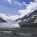 Athabasca Glacier - Columbia Icefield ... P.i.P. (© Buelipix)