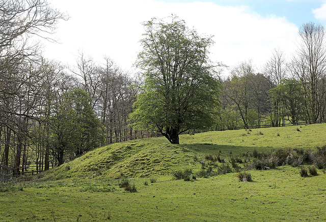 Wycoller kiln Wycoller kiln