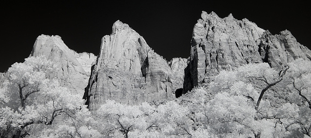 Zion