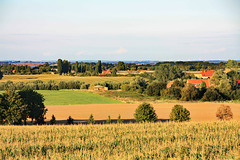 Landschaft bei Hohenkirchen