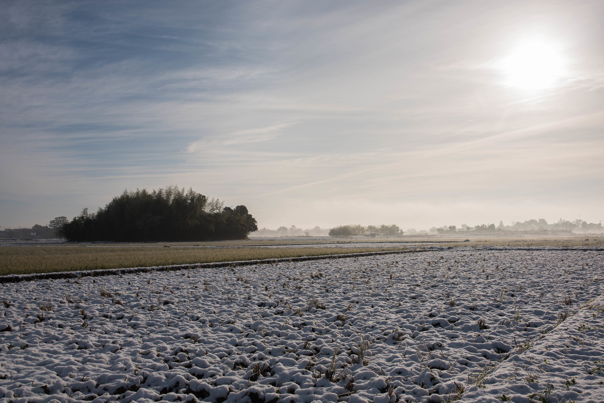 Morning after snow