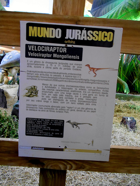 DSCN2770 - Velociraptor mongoliensis, Dromaeosauridae Theropoda