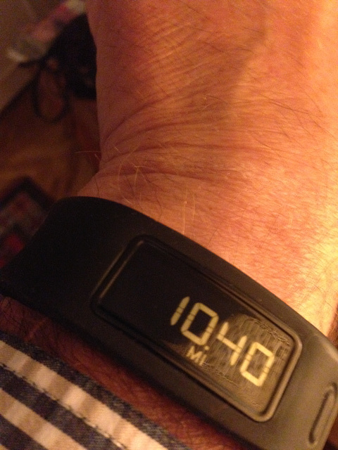 Walking Tour Milage for the day