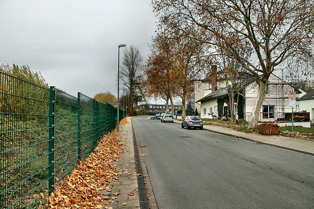 Von-Waldthausen-Straße (Bochum-Werne) / 20.11.2018