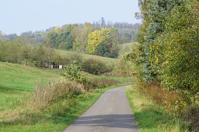 Wanderweg im Sonnenschein