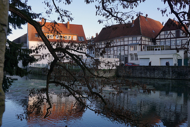 Am großen Teich, Blick nach SO