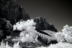 Zion