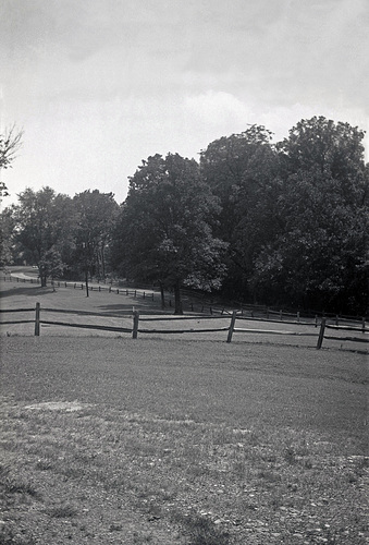 Rolling Country