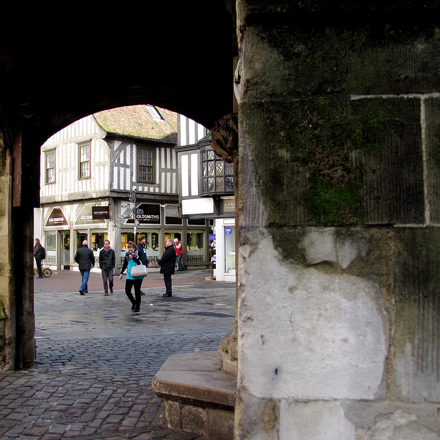 Poultry Cross