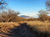 The Whetstone Mountains