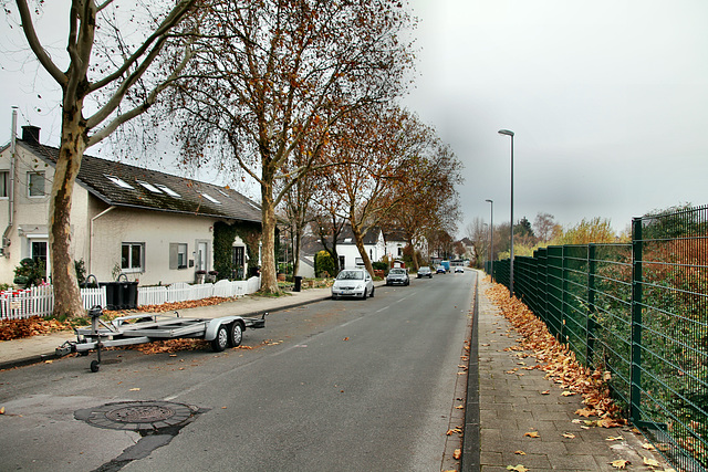 Von-Waldthausen-Straße (Bochum-Werne) / 20.11.2018