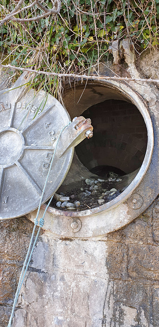 Sewer